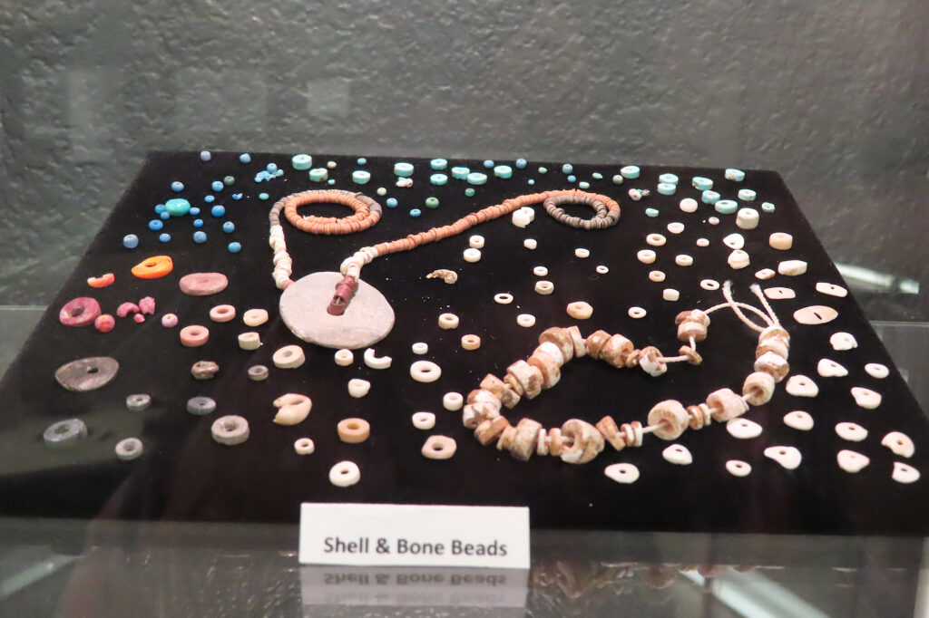 White, pink, and turquoise shell and bone beads on a black velvet-covered board in display case with sign in front reading "Shell & Bone Beads."