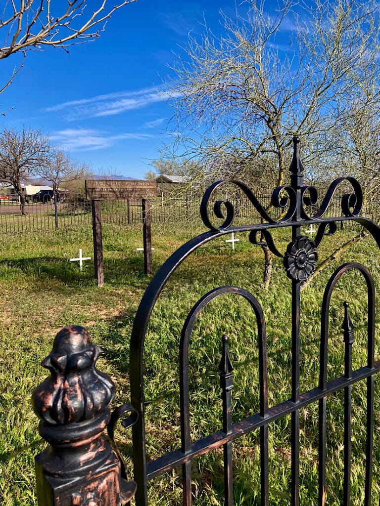 Delicate black metal fence in front of several small white crosses.