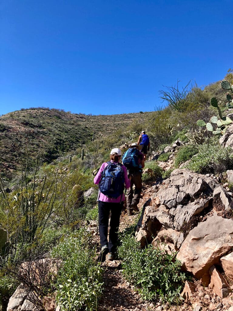 Three hikers ahead on rocky trail with low green vegetation trailside under blue sky.