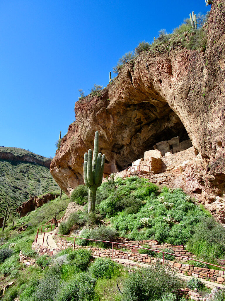 Image of stone structures in high cave on hillside with lone saguaro in front and under blue sky.