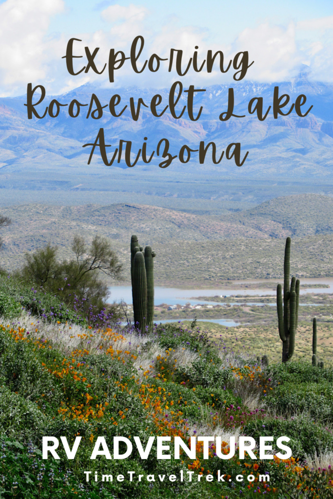 Pin image for TimeTravelTrek post with image of cactus and wildflowers on hill above distant lake in valley bottom. Text reads: Exploring Roosevelt Lake Arizona. RV Adventues. TimeTravelTrek.com