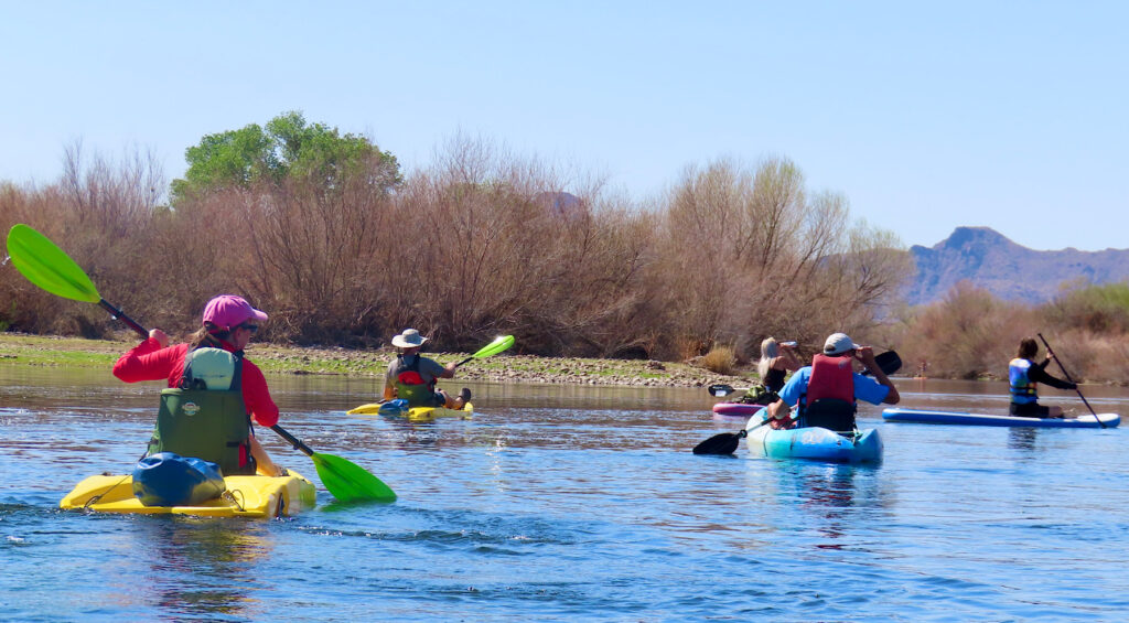 A variety of kayaks and paddleboards on a river.