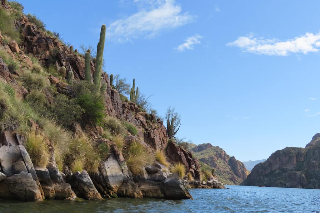 Steep cliffs with towering saguaro cactus above lake.