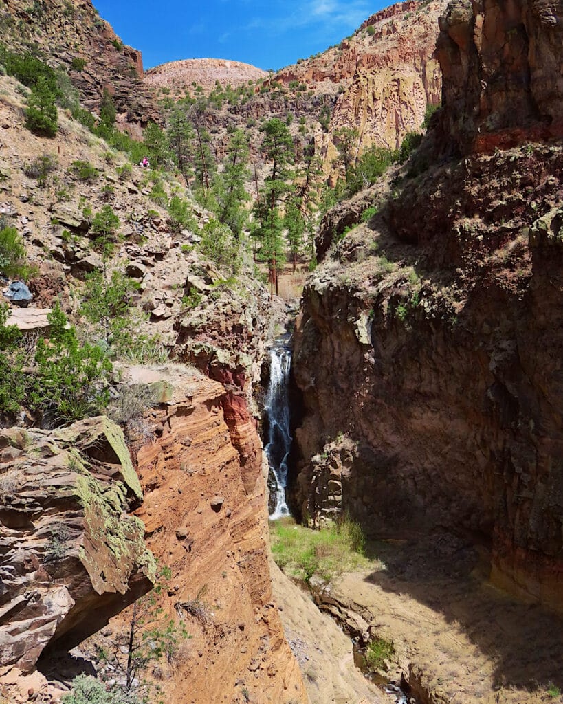 Tall waterfalls in rugged canyon dotted with large pine trees.