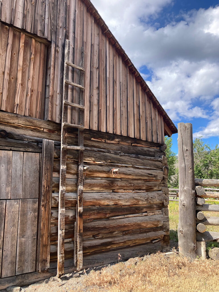 Log barn with vertical wooden ladder near to door and hay loft.