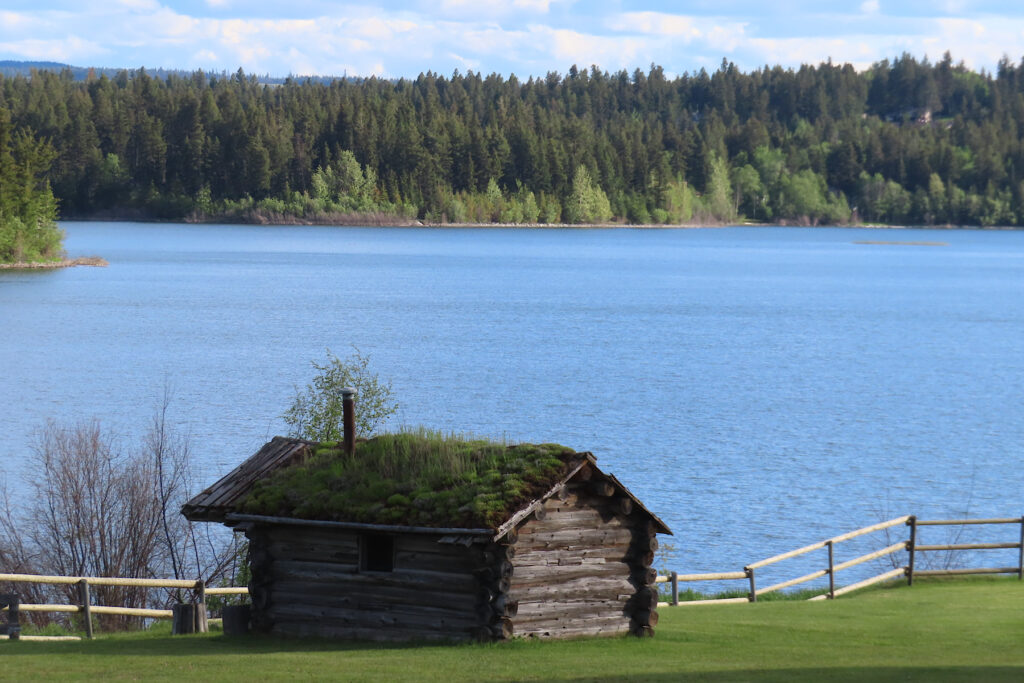 Lake behind small wooden cabin with plants growing on roof.
