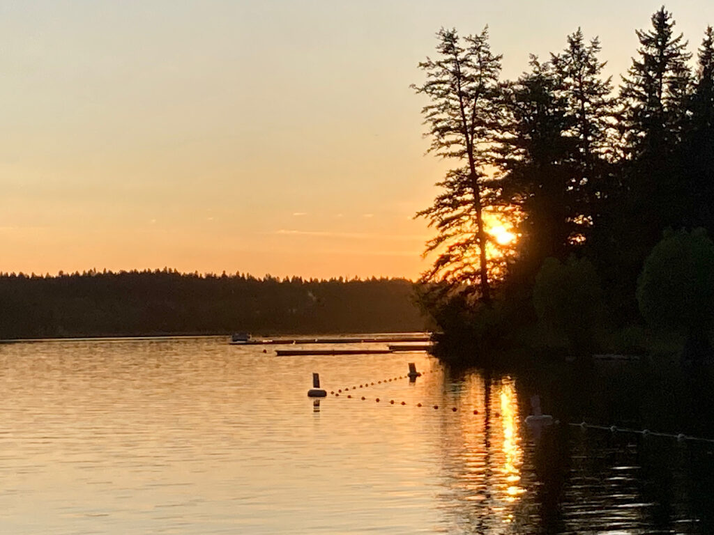 Sunset glow on lake with trees in shadow.