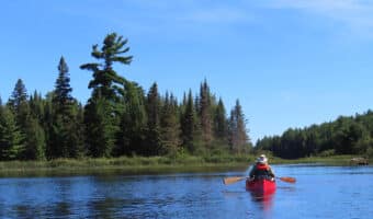 Two people in red canoe on lake with distant trees.