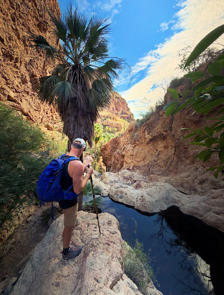 Man standing above small dark pool in red canyon with palm trees.