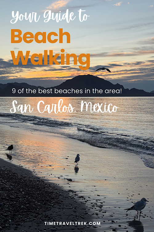 Pin image of a beach at sunset and silhouetted birds. Text overlay reads: Your Guide to Beach Walking, 9 of the best beaches in the area. San Carlos, Mexico. TimeTravelTrek.com