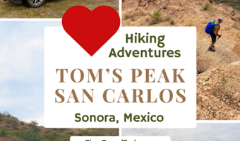 Pin image collage of photos of hikers on desert peak with text reading: Hiking Adventures. Tom's Peak San Carlos, Sonora, Mexico. TimeTravelTrek.com