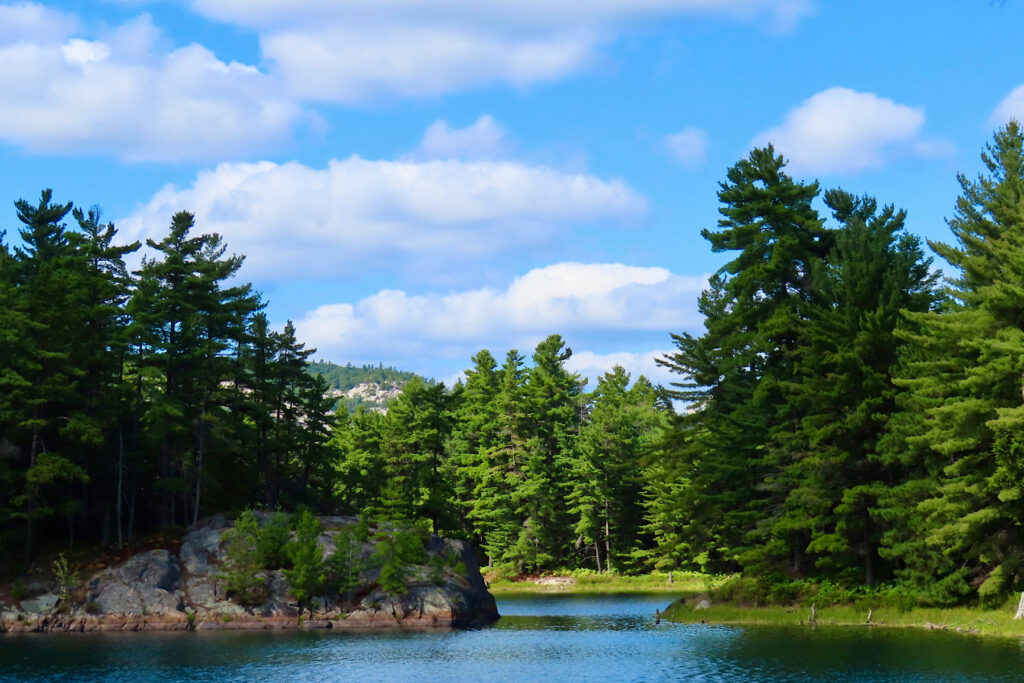 Scenic, tree-lined lake with red rock dipping into water and distant whitish hills.