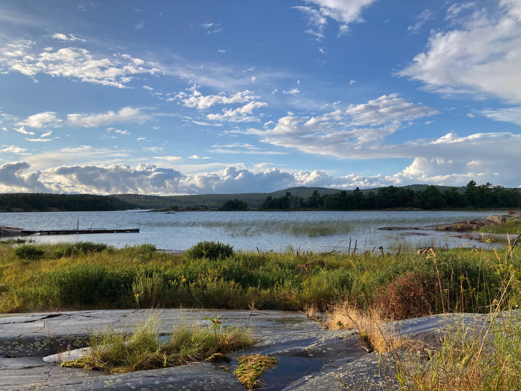 Grass shoreline and red rock in evening light under blue sky with scattered clouds.