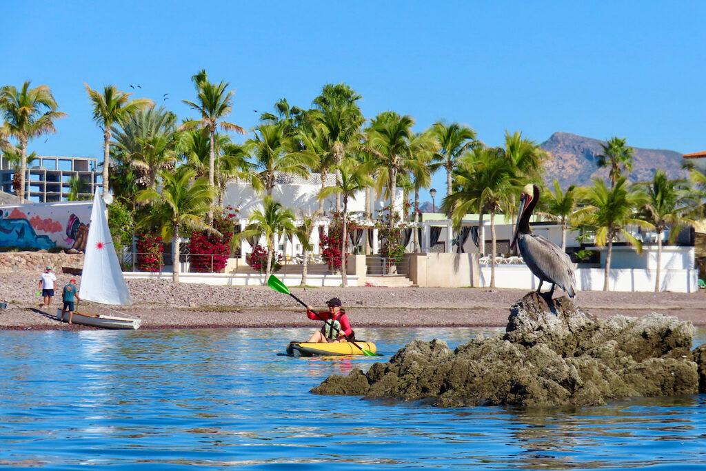 Busy beachside with small sailboat on short and woman in yellow kayak paddling towards rock with a large pelican.