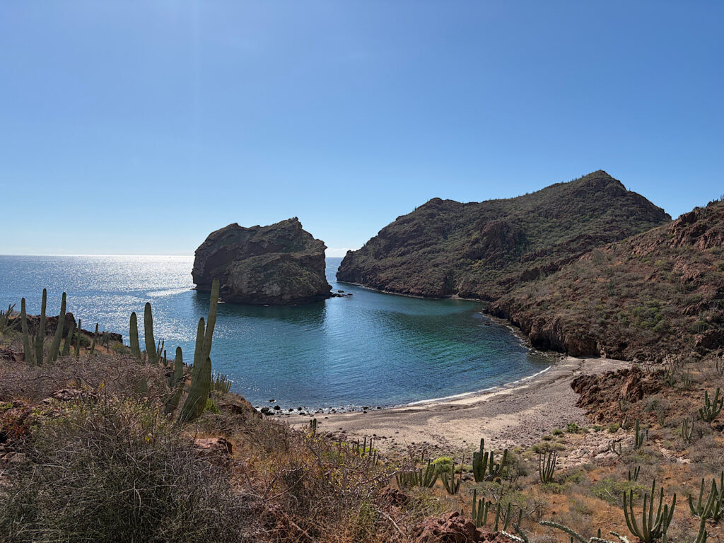 Cactus and desert hills above ocean and small beach.