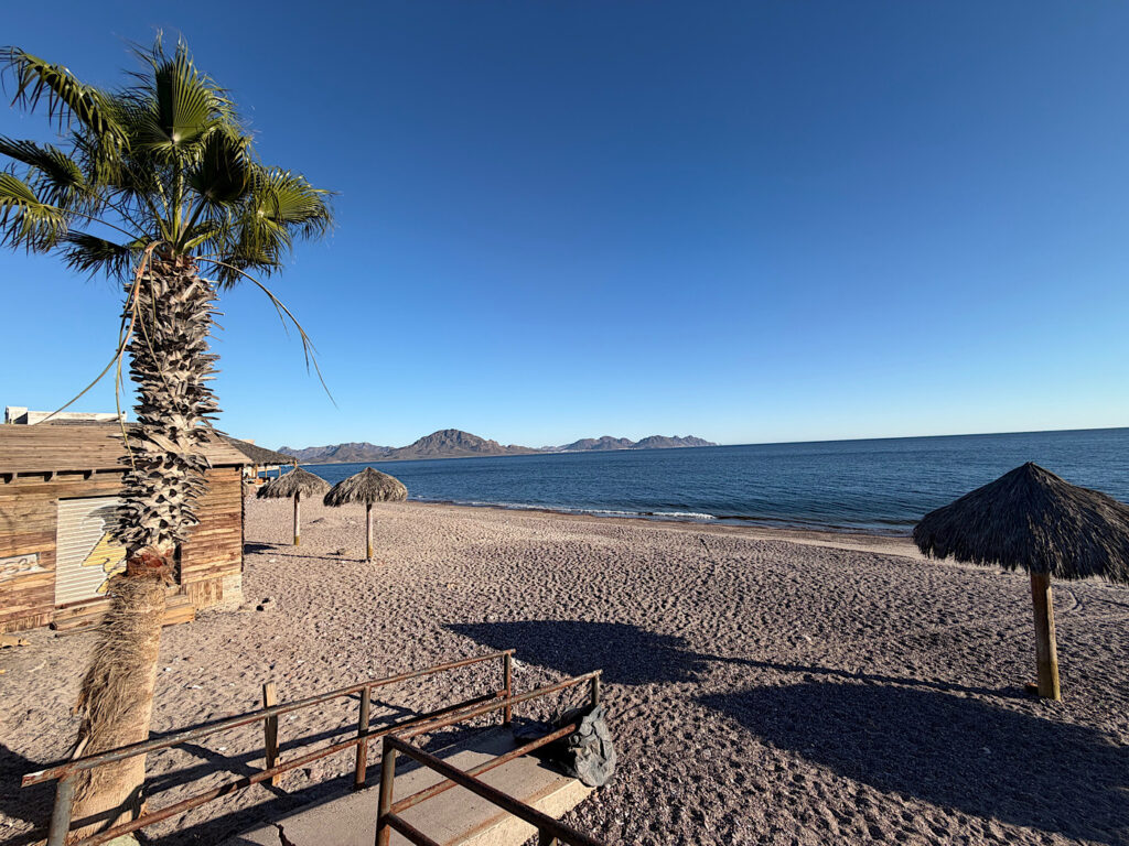 Large grey sand beach with a palm tree in foreground and a thatched palapa in front of water under blue sky.