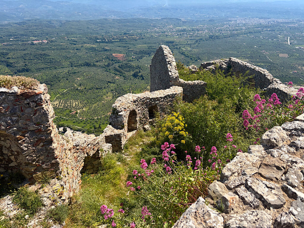 Rock ruins on high hillside with flowers.