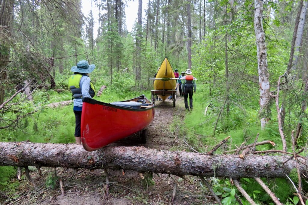 Tree across trail with red and yellow canoes in forest.