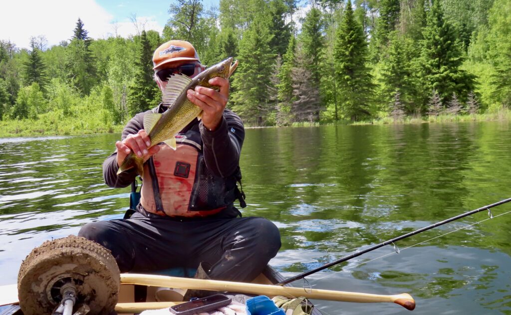 Man in back of canoe holding up a fish.
