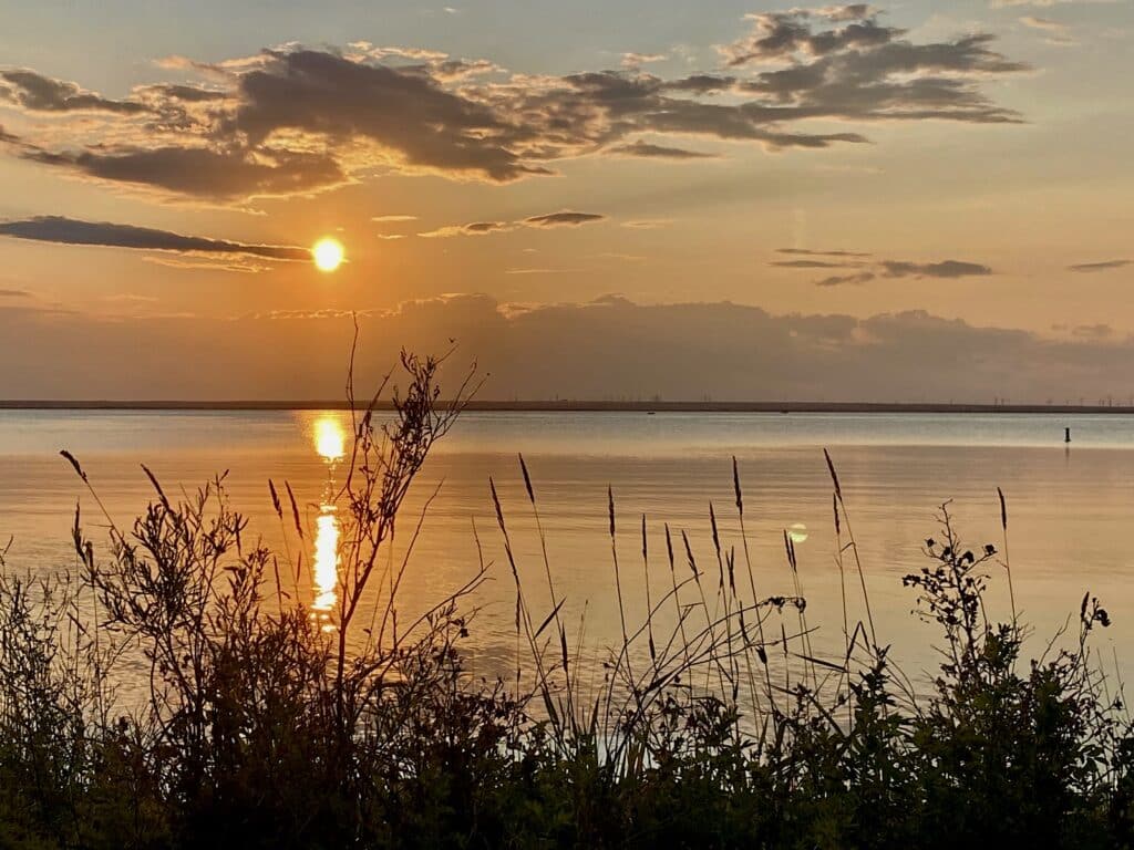 Sunset glowing orange on lake with silhouette of grasses in foreground.