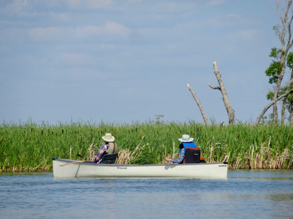 Two women in white canoe on water near marsh.