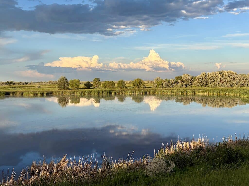 Pond in late afternoon light with reflection of sky and clouds.